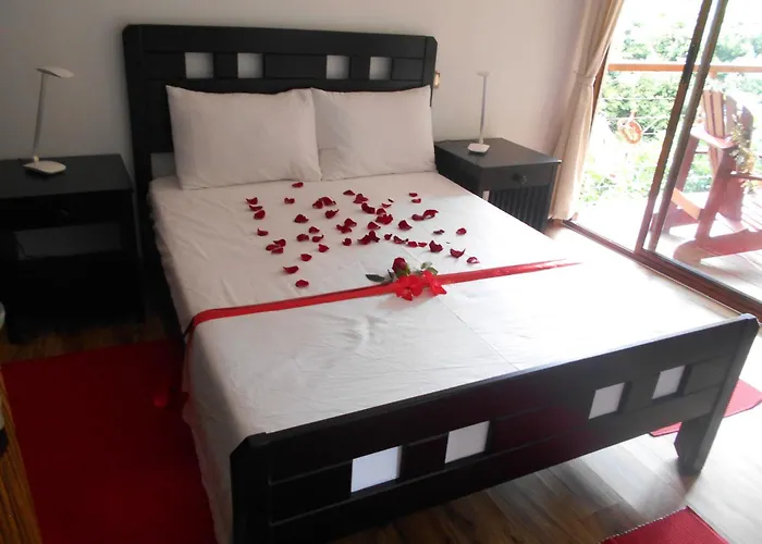 Cashew Nut Grove Chalets