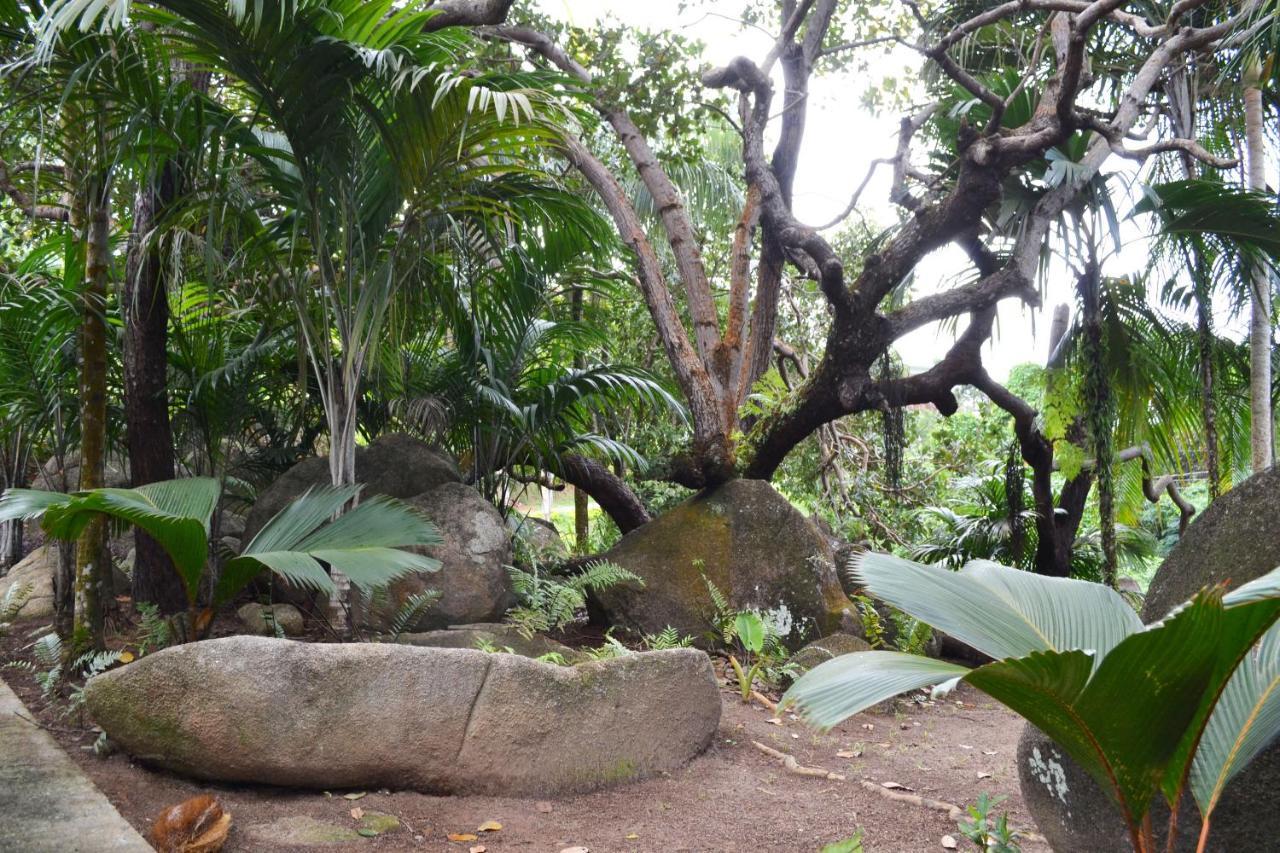 شاليه Cashew Nut Grove *