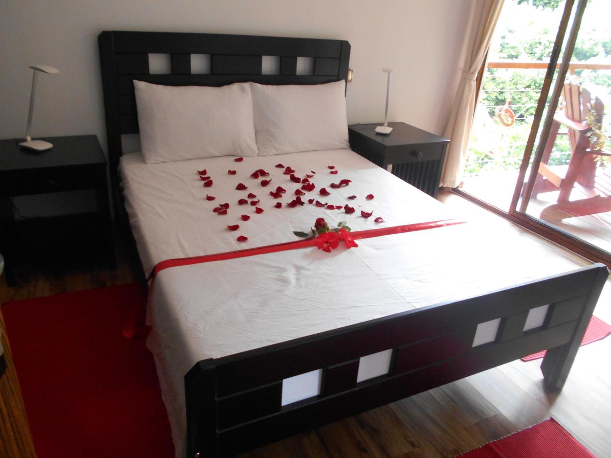 Cashew Nut Grove Chalet