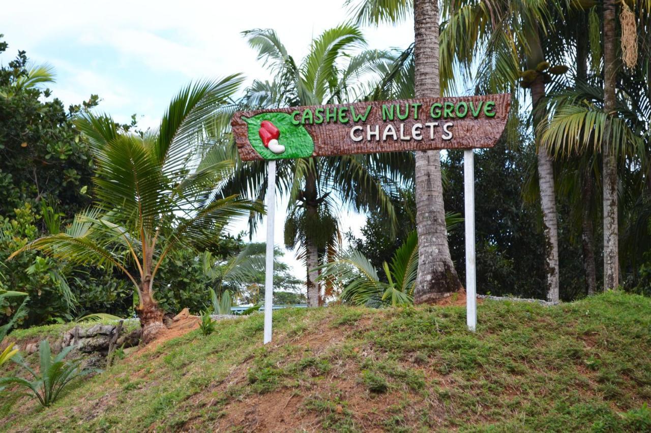 Cashew Nut Grove Chalet Port Glaud